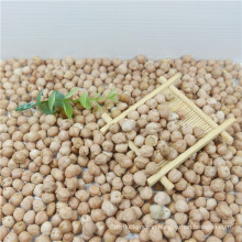 best quality chickpea/chick pea market price HPS